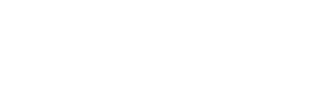 Basis logo